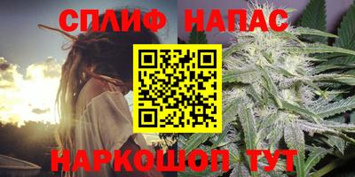 a pvp Шебекино