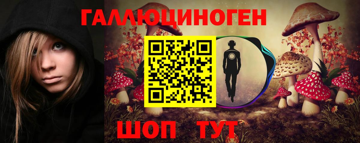 Ревда  как найти закладки  Вход с VPN  Псилоцибиновые грибы Psilocybine cubensis 