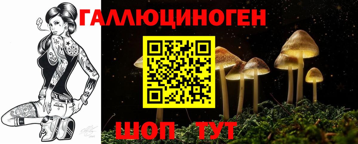 Псилоцибиновые грибы прущие грибы Ревда